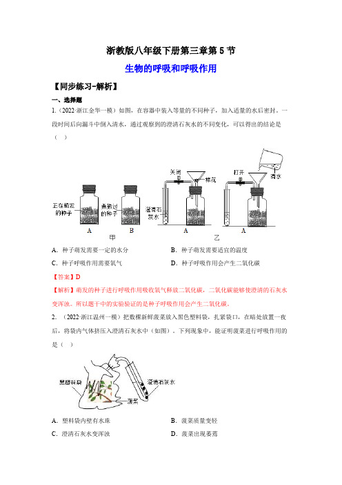 3-5生物的呼吸和呼吸作用(练习)-2023-2024学年八年级科学下册讲练课堂(浙教版)