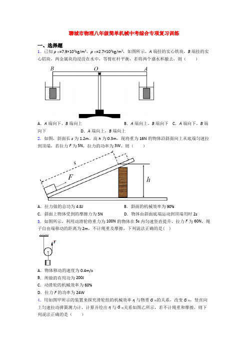 聊城市物理八年级简单机械中考综合专项复习训练