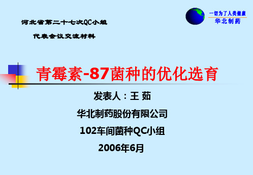 QC青霉素87菌种的优化选育