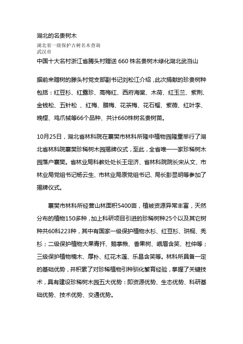 湖北的名贵树木