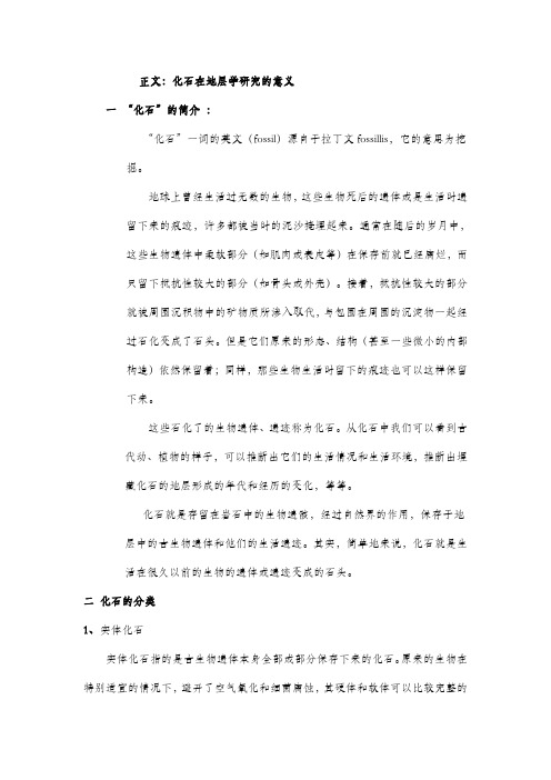化石在地层学研究的意义