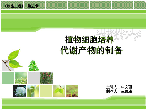 植物细胞培养代谢产物的制备 (2)