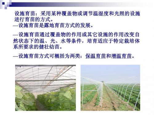 设施育苗