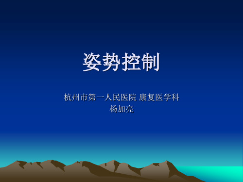 杨加亮-姿势控制