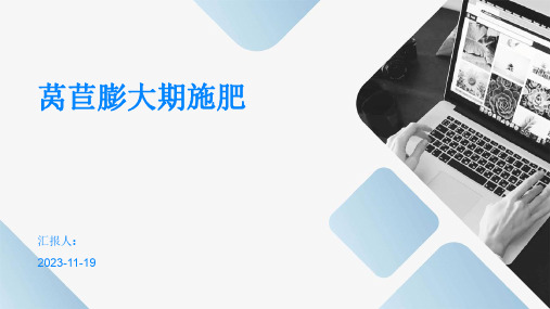 莴苣膨大期施肥