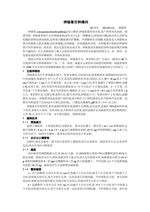 神秘果引种漳州
