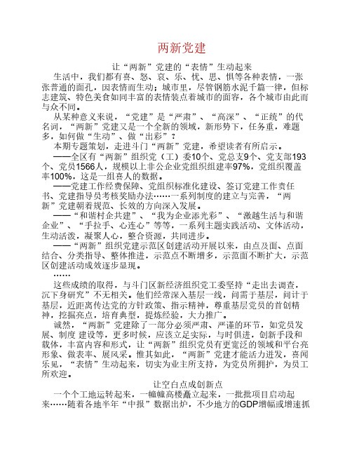 两新党建