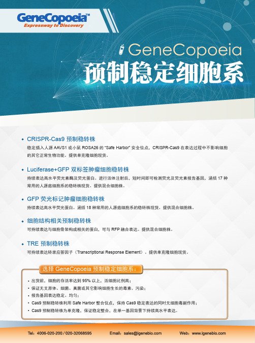 CRISPR-Cas9预制稳转株GFP荧光标记肿瘤细胞稳转株Luciferase