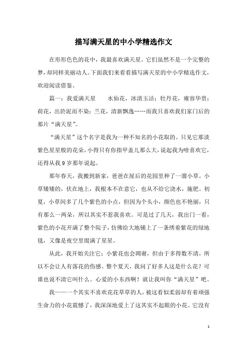 描写满天星的中小学精选作文