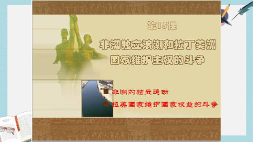 2019-2020年九年级历史下册第六单元第15课非洲独立运动和拉美国家维护国家权益的斗争课件4岳麓版