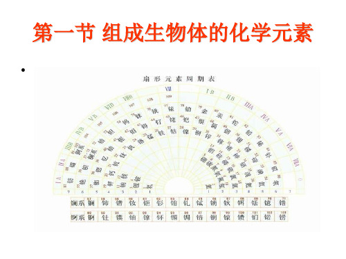 高一生物组成生物体的化学元素(PPT)4-4