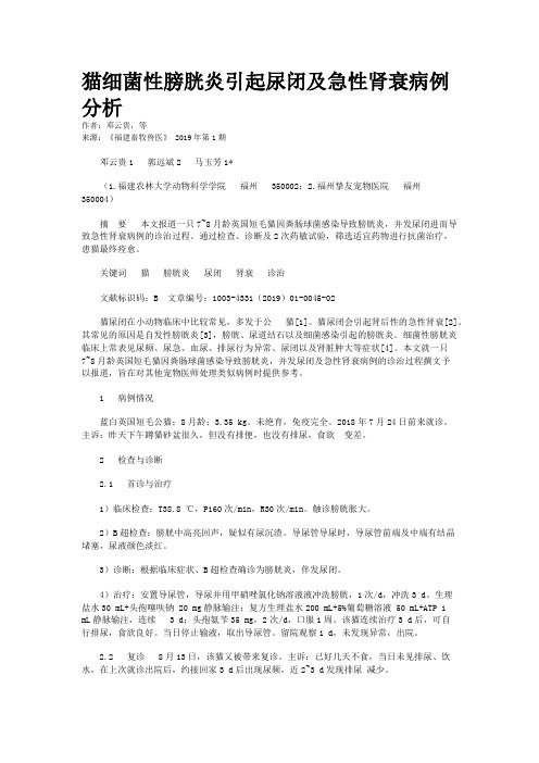 猫细菌性膀胱炎引起尿闭及急性肾衰病例分析