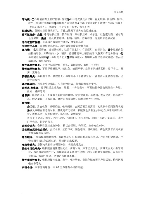 耳鼻喉科内镜检查