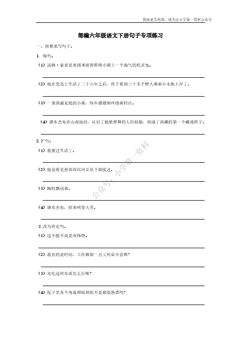 部编版六下语文期末复习专题三：句子专项六年级练习