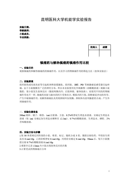 镇痛药2