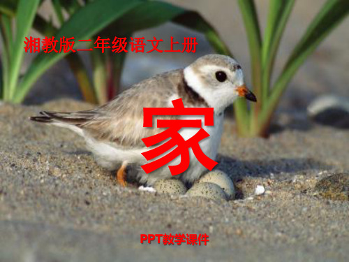 湘教版语文二上《家》(1)PPT课件