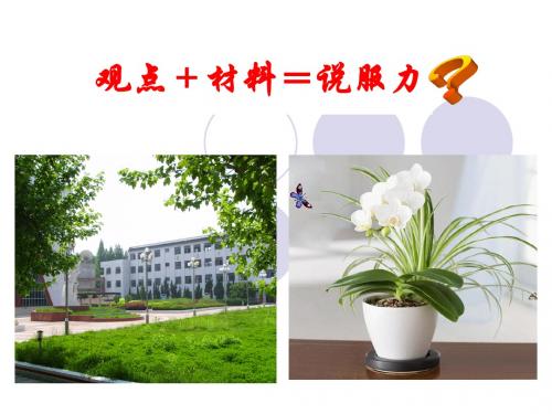 分析才是硬道理
