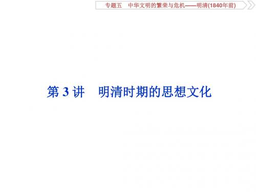 高考历史(通史)大一轮课件：专题五3 第3讲 明清时期的思想文化