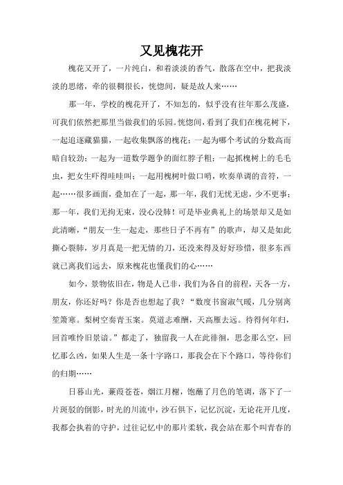 获奖作文 又见槐花开