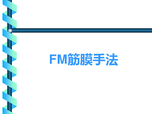 FM筋膜手法