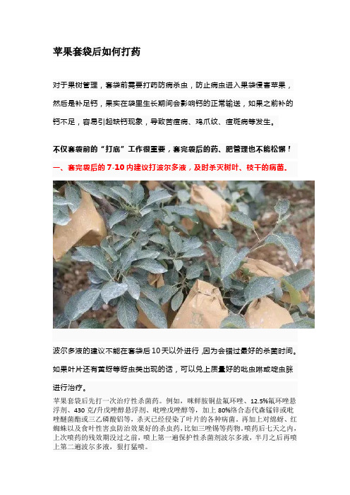 苹果套袋后如何打药