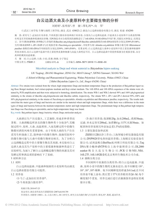 白云边酒大曲及小麦原料中主要微生物的分析