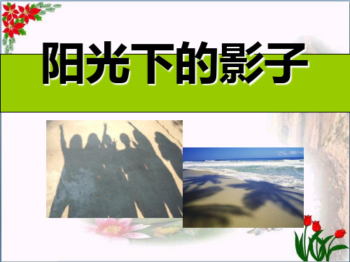 人教版《阳光下的影子》光4教育课件
