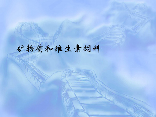 【一村一员 养殖技术】矿物质饲料