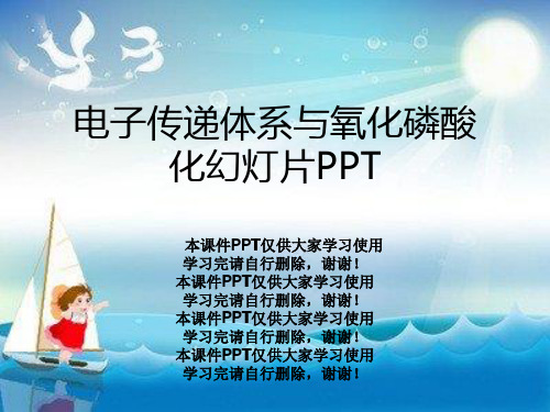 电子传递体系与氧化磷酸化幻灯片PPT