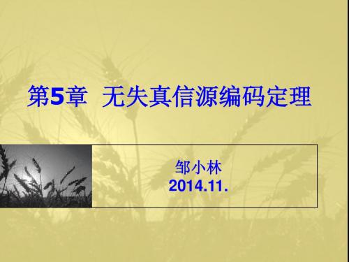 第5章_无失真信源编码定理