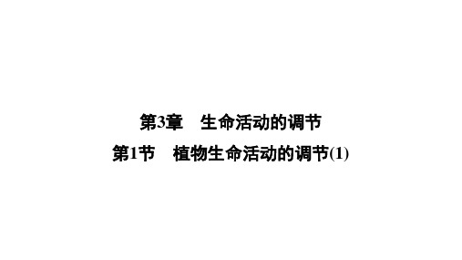 八年级上《植物生命活动的调节》优质ppt浙教版3