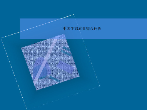 中国生态农业综合评价