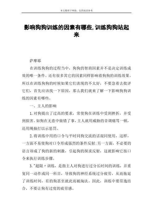 影响狗狗训练的因素有哪些,训练狗狗站起来