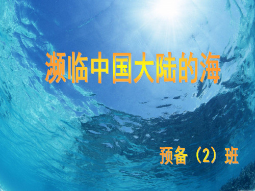 濒临中国大陆的海