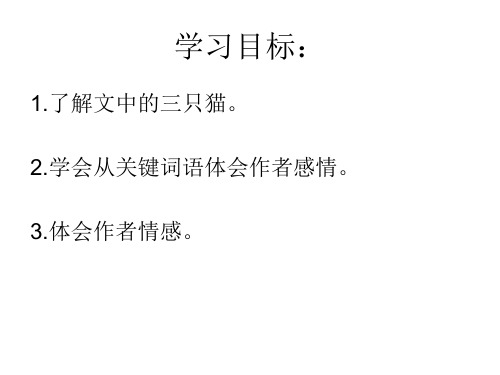 人教版七年级上册语文第5单元16课《猫》课件p