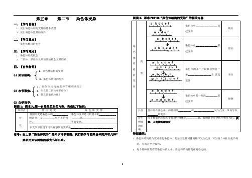 高一生物人教版必修二第五章第2节 染色体变异  学案