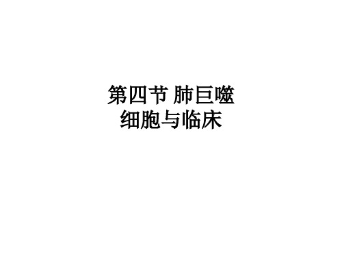第四节 肺巨噬细胞与临床ppt课件