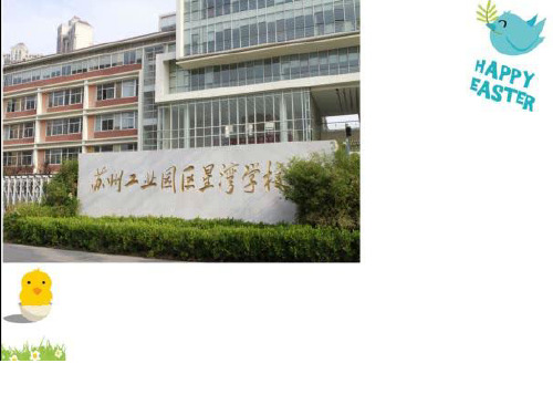 四年级下- 油菜花开了教科版ppt精美课件