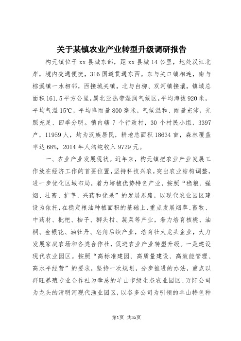 【最新】关于某镇农业产业转型升级调研报告 (2)doc