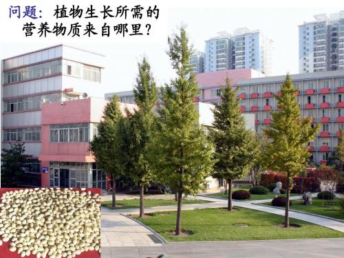 光合作用发现的历程