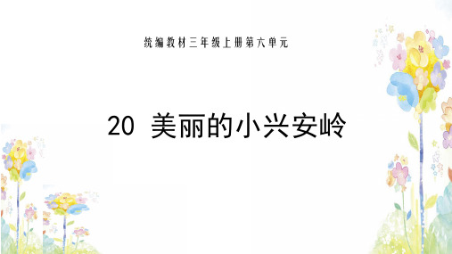 人教部编版语文《美丽的小兴安岭》PPT完美课件1