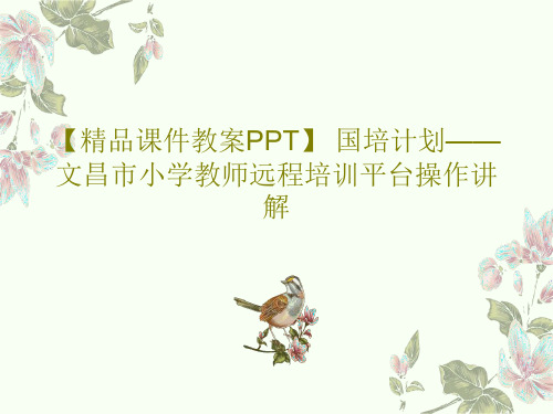 【精品课件教案PPT】 国培计划——文昌市小学教师远程培训平台操作讲解PPT文档共35页