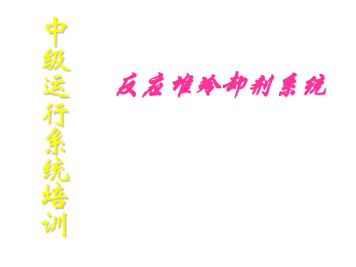 《900MW压水堆核电站系统与设备》运行教程讲义_RCP  ppt课件