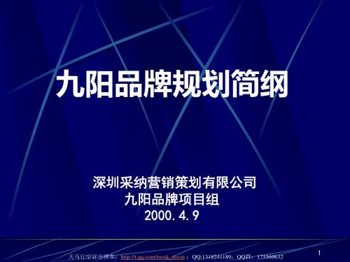 《xx品牌策划简纲》PPT课件