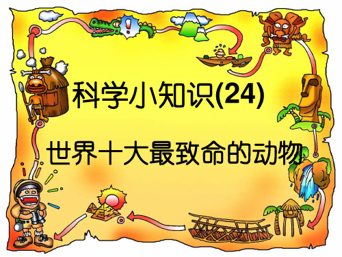 a世界十大最致命的动物PPT课件