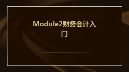 Module2财务会计入门英