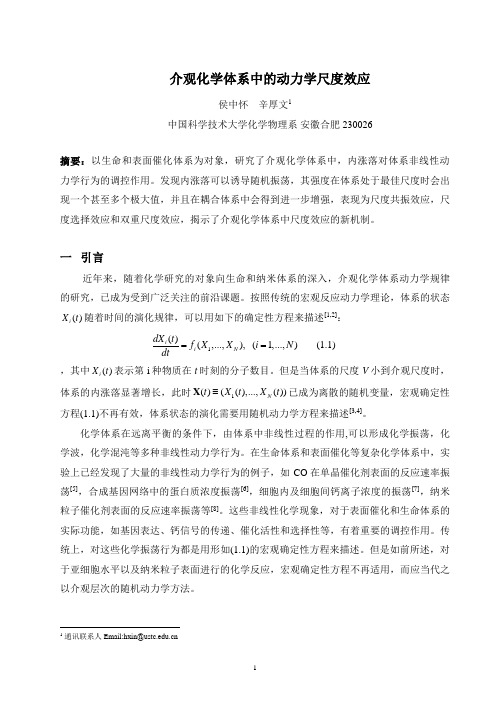 介观化学体系中的动力学尺度效应