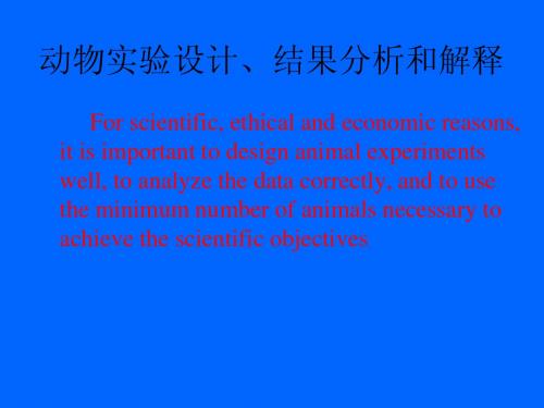 动物实验设计