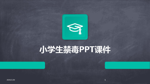 2024版小学生禁毒PPT课件