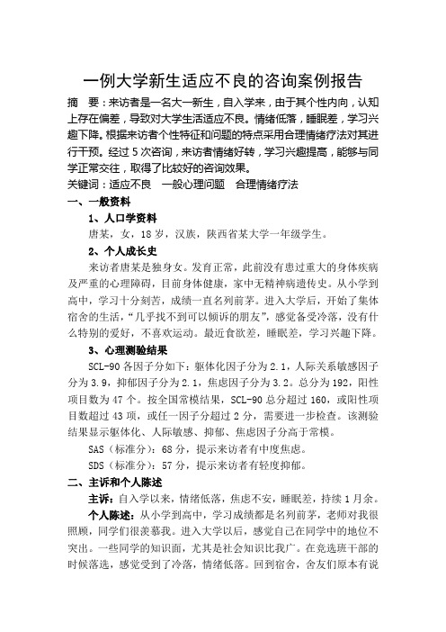 心理咨询师二级案例报告